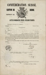 /medias/customer_28/archives/AMB_2J91-36/2J91-36_006_jpg_/0_0.jpg